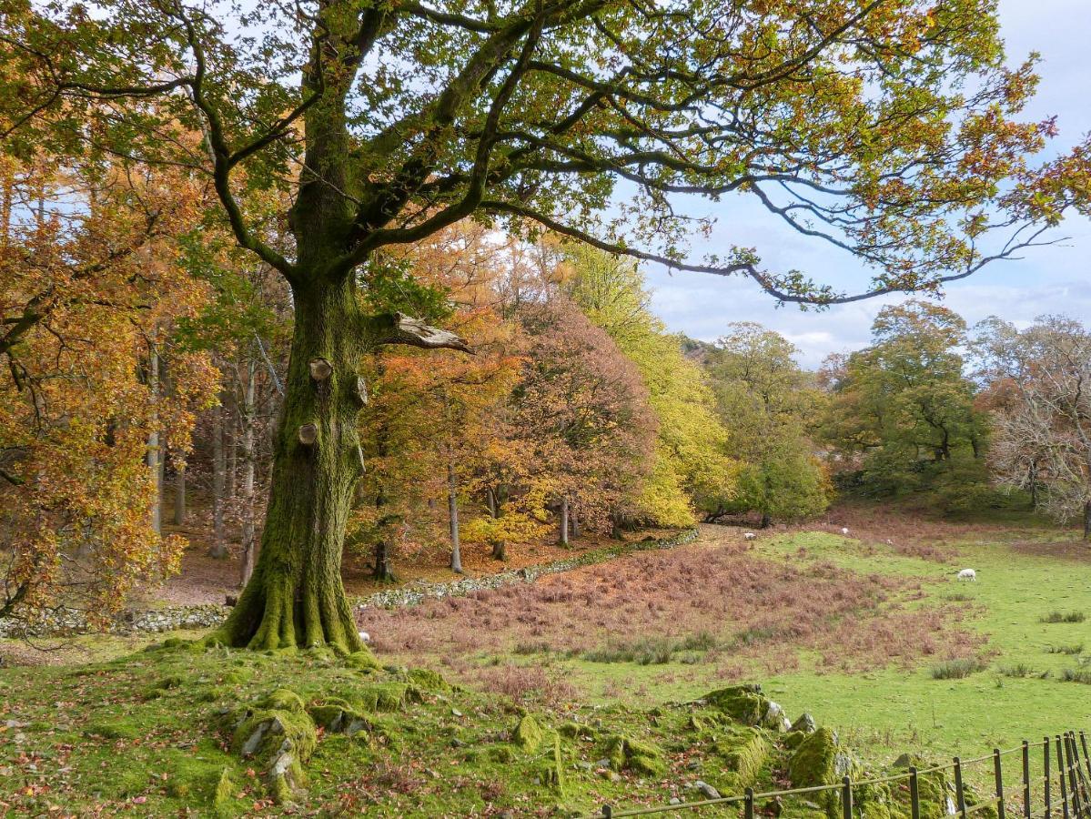 Cherry - Woodland Cottages Bowness-on-Windermere Εξωτερικό φωτογραφία