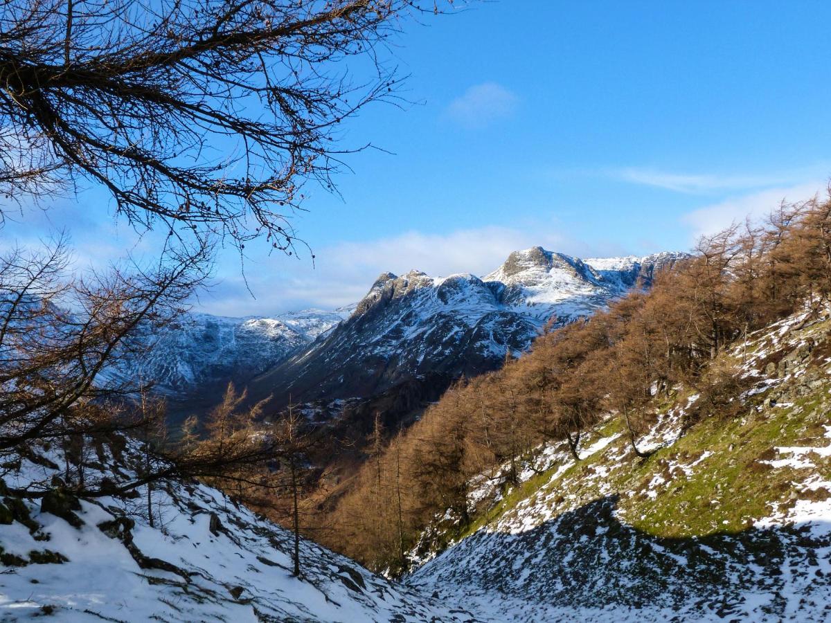 Cherry - Woodland Cottages Bowness-on-Windermere Εξωτερικό φωτογραφία